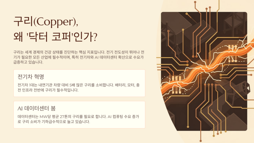 닥터 코퍼 구리 이미지입니다.