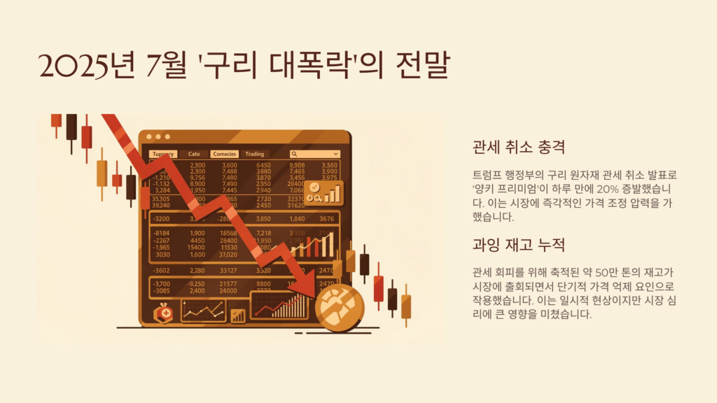 닥터 코퍼 구리 이미지입니다. 구리 대폭락의 전말입니다.