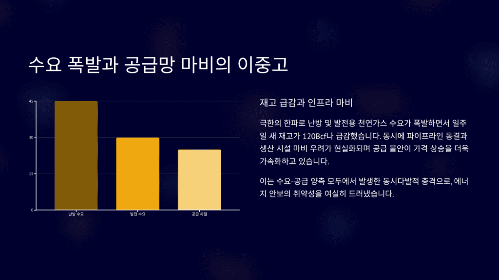 천연가스 가격 폭등 이미지입니다. 공급망과 수요 관계입니다. 