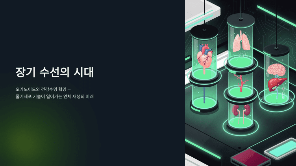 오가노이드 장기 수선 시대