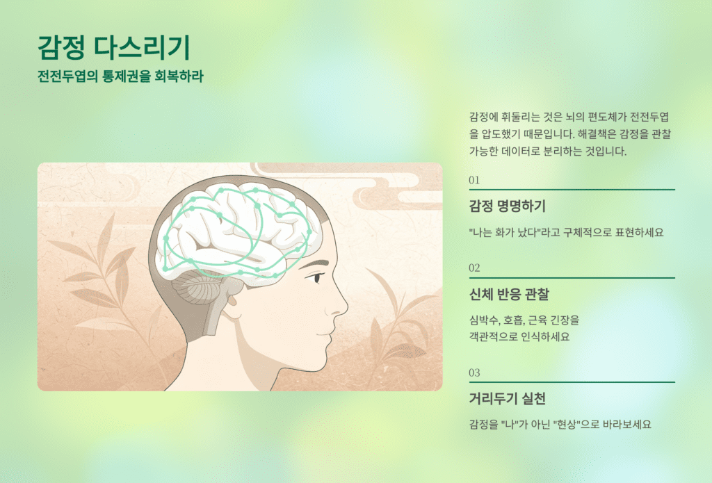 감정 객관화 이미지입니다. 