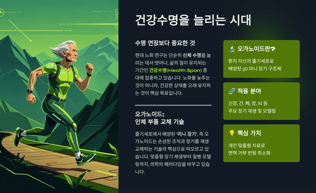 오가노이드 정의와 활용