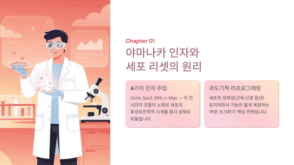 야마나카 인자입니다. 